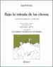 BAJO LA MIRADA DE LAS CHOVAS: O LOS PLACERES DEL ALPINISMO di REY, GUIDO 