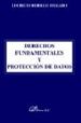 DERECHOS FUNDAMENTALES Y PROTECCION DE DATOS de REBOLLO DELGADO, LUCRECIO 