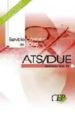 ATS/DUE SERVICIO CANTABRO DE SALUD. TEMARIO VOL. III. di VV.AA. 