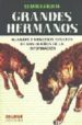 GRANDES HERMANOS: ALIANZAS Y NEGOCIOS OCULTOS DE LOS DUEOS DE LA INFORMACION di ANGUITA, EDUARDO 