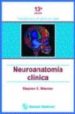 NEUROANATOMIA CLINICA (13 ED.) di WAXMAN, STEPHEN G. 