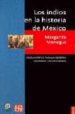 LOS INDIOS EN LA HISTORIA DE MEXICO de MENEGUS BORNEMANN, MARGARITA 
