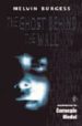 THE GHOST BEHIND THE WALL de BURGESS, MELVIN 