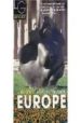 EUROPE 2005 (LET'S GO TRAVEL GUIDE) di VV.AA. 