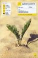 TEACH YOURSELF SPANISH STARTER KIT (INCLUDES 2 CD-AUDIO) di SMITH, ELISABETH 