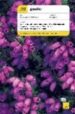 TEACH YOURSELF GAELIC (BOOK + CD) di ROBERTSON, BOYD 