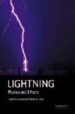 LIGHTNING: PHYSICS AND EFFECTS de RAKOV, VLADIMIR A.  UMAN, MARTIN A. 
