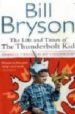 THE LIFE AND TIMES OF THE THUNDERBOLT KID de BRYSON, BILL 