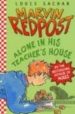 MARVIN REDPOST ALON IN HIS TEACHER'S HOUSE de SACHAR, LOUIS 