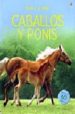 CABALLOS Y PONIS (LIBRO DE PEGATINAS) di VV.AA. 