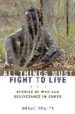 ALL THINGS MUST FIGHT TO LIVE: STORIES OF WAR AND DELIVERANCE IN CONGO di MEALER, BRYAN 