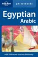 EGYPTIAN ARABIC PHRASEBOOK (3RD ED.) (LONELY PLANET) di VV.AA. 