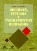 OPCIONES, FUTUROS E INSTRUMENTOS DERIVADOS de FERNANDEZ, PABLO 