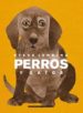 PERROS Y GATOS de JENKINS, STEVE 