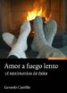 AMOR A FUEGO LENTO: 16 TESTIMONIOS DE EXITO de CASTILLO, GERARDO 