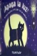 APAGA LA LUZ!: UN LIBRO-TEATRILLO PARA JUGAR CON LAS SOMBRAS de FOWLER, RICHARD 