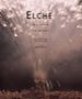 ELCHE: MISTERIO Y PALMERAL (ED. BILINGE CASTELLANO-INGLES) de MACIA VICENTE, GASPAR  MOLINA FOIX, VICENTE 
