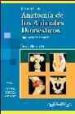 ANATOMIA DE LOS ANIMALES DOMESTICOS (T. 2): ORGANOS, SISTEMA CIRC ULATORIO, SISTEMA NERVIOSO di KNIG, HORST ERICH  LIEBICH, HANS-GEORG 
