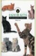 RAZAS DE GATOS di CUTTS,PADDY 