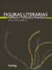 FIGURAS LITERARIAS, METRICA Y TOPICOS LITERARIOS di OLLERO BAUELOS, ALFONSO 