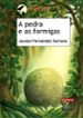 A PEDRA E AS FORMIGAS de FERNANDEZ SERRANO, JACOBO 