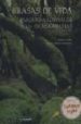 BRASAS DE VIDA. PARQUES NACIONALES DE LAS ISLAS CANARIAS = THE EM BERS OF LIFE. NATIONAL PARKS OF THE CANARY ISLANDS de ARAUJO, JOAQUIN 
