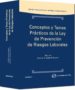 CONCEPTOS Y TEMAS PRACTICOS DE LA LEY DE PREVENCION RIESGOS LABOR ALES di MATEOS BEATO, ALFREDO 