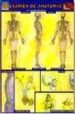 EXAMEN DE ANATOMIA (APRENDA FACIL) di VV.AA. 
