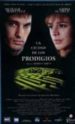 LA CIUDAD DE LOS PRODIGIOS (DVD) di CAMUS, MARIO 