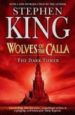 THE DARK TOWER: WOLVES OF THE CALLA: V. 5 de KING, STEPHEN 