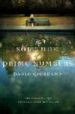 THE SOLITUDE OF PRIME NUMBERS de GIORDANO, PAOLO 