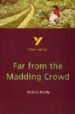 FAR FROM THE MADDING CROWD YORK NOTES de HARDY LEAHEY, THOMAS  ALPER, NICOLA 