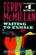 WAITING TO EXHALE di MCMILLAN, TERRY 