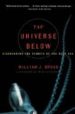 THE UNIVERSE BELOW DISCOVERING THE SECRETS OF THE DEEP SEA di BROAD, WILLIAM J. 