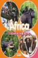 DESCUBRE EL MUNDO ANIMAL: AFRICA (LIBRO DE PEGATINAS) di VV.AA. 