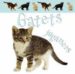 GATETS JUGANERS (ELS MEUS ANIMALS FAVORITS) di VV.AA. 