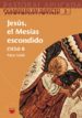 JESUS, EL MESIAS ESCONDIDO (CICLO B) de LOIDI, PATXI 