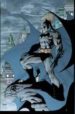 BATMAN SILENCIO de LOEB, JEPH  LEE, JIM 