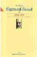 SIGMUND FREUD (T. 3): 1905-1920. VISTA Y PENSAMIENTO PSICOANALITI CO de DENIS, PAUL 