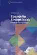 EBANJELIO SINOPTIKOAK; ERAKETA. ERREDAKZIOA. TEOLOGIA de MARCONCINI, BENITO 