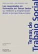 LAS NECESIDADES DE FORMACION DEL TERCER SECTOR: SU MEDICION Y PRO GRAMACION DESDE LA PERSPECTIVA EUROPEA de SETIEN SANTAMARIA, MARIA LUISA  SANTIBAEZ, ROSA 