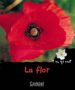 LA FLOR (CATALAN) di JEUNESSE, MANGO 