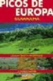 PICOS DE EUROPA (GUIARAMA) di MARTIN MARTIN, RAMON 