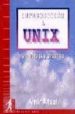 INTRODUCCION A UNIX: UN ENFOQUE PRACTICO di AFZAL, AMIR 
