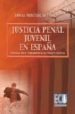 LA JUSTICIA PENAL JUVENIL EN ESPAA. LEGISLACION Y JURISPRUDENCIA CONSTITUCIONAL de MONTERO HERNANZ, TOMAS 