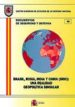 BRASIL, RUSIA, INDIA Y CHINA (BRIC): UNA REALIDAD GEOPOLITICA SIN GULAR di VV.AA. 
