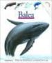 NIRE LEHENENGO AURKIKUNTZAK: BALEA de JEUNESSE, GALLIMARD  DELAFOSSE, CLAUDE 