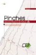 PINCHES SERVICIO RIOJANO DE SALUD. TEMARIO di VV.AA. 