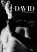 IL DAVID DI MICHELANGELO di PAOLUCCI, ANTONIO 