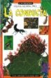 LA CONDUCTA (LOS INSECTOS BAJO EL MICROSCOPIO) de GREEN, TAMARA 